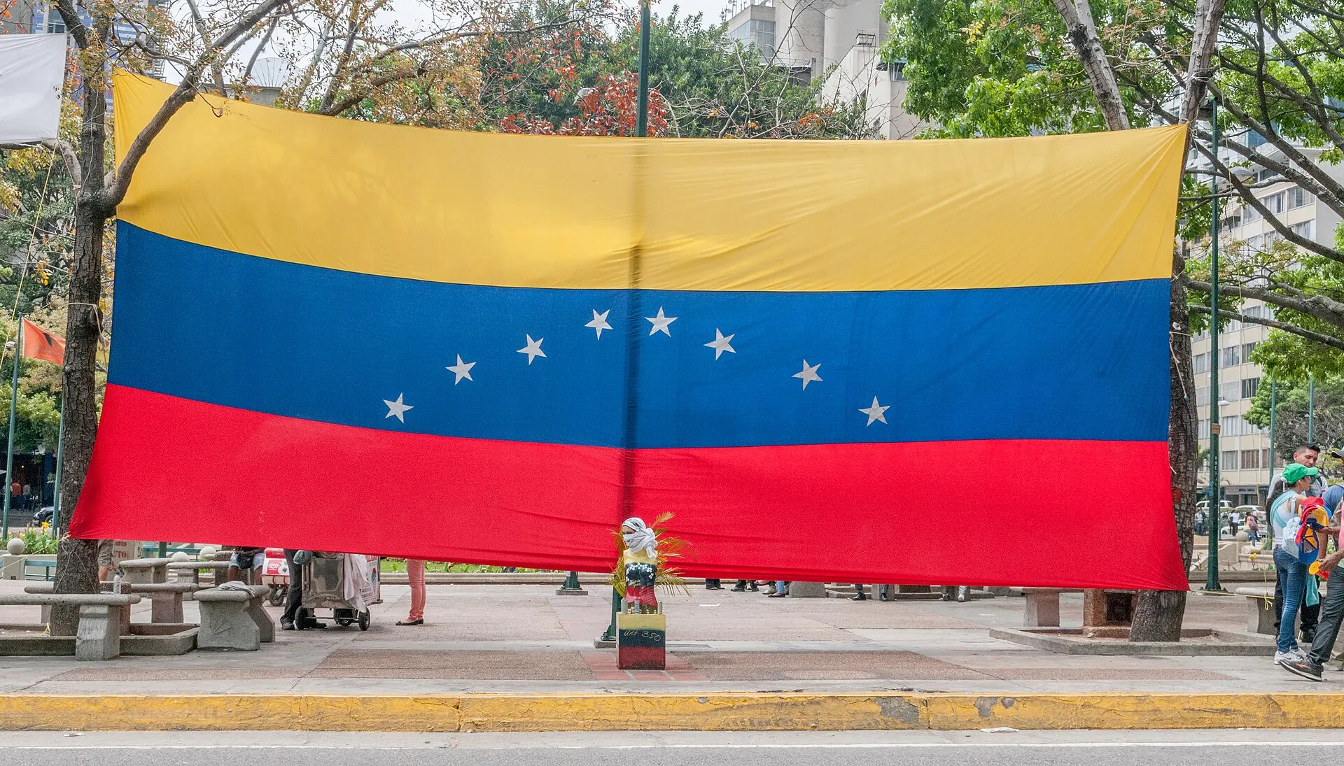 A large Venezuelan flag strung between trees at a peaceful demonstration in Plaza Altamira, Caracas.